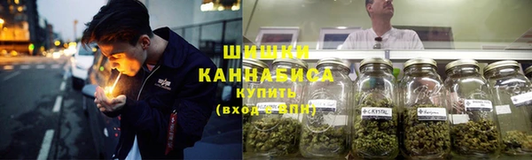 apvp Козельск
