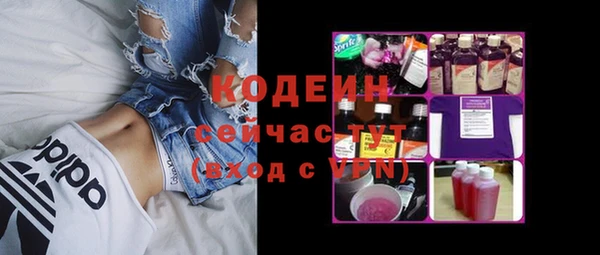 apvp Козельск