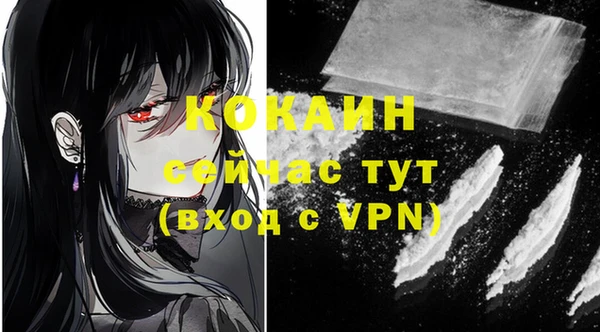 хмурый Козловка