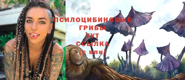 хмурый Козловка