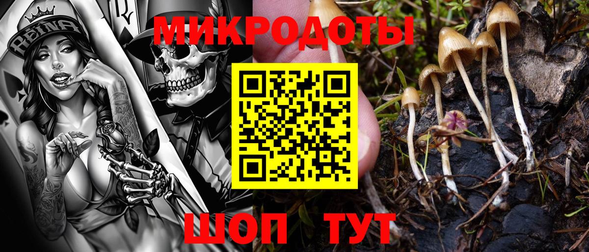 Галлюциногенные грибы GOLDEN TEACHER Котовск