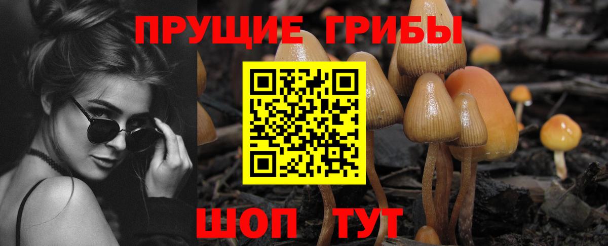 сколько стоит  Вход с VPN  Котовск  Галлюциногенные грибы MAGIC MUSHROOMS 
